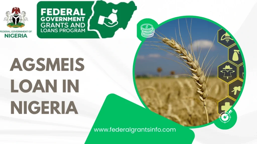 How to Apply for AGSMEIS Loan in Nigeria – Eligibility, Requirements, and Application Guide (2025)