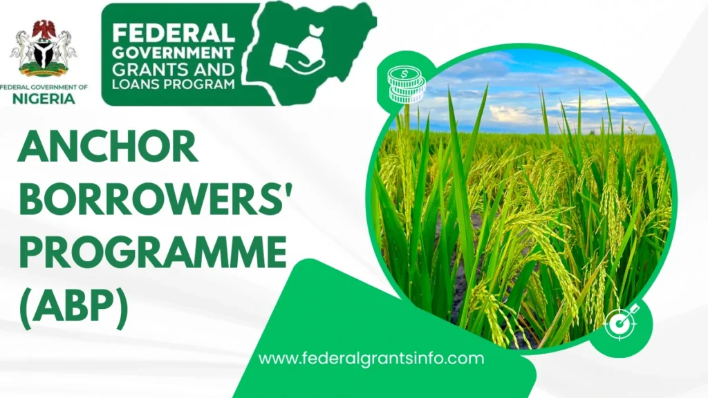 Anchor Borrowers’ Programme (ABP) – How to apply & Eligibility