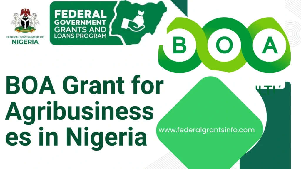 How to Apply for BOA Grant for Agribusinesses in Nigeria