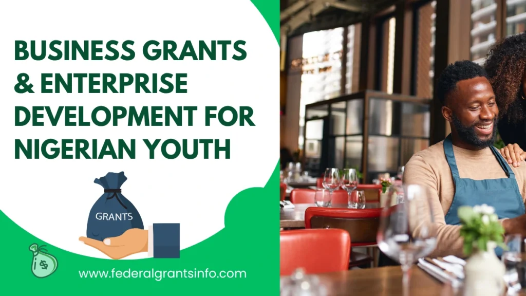 How to apply for Business Grants & Enterprise Development for Nigerian Youth