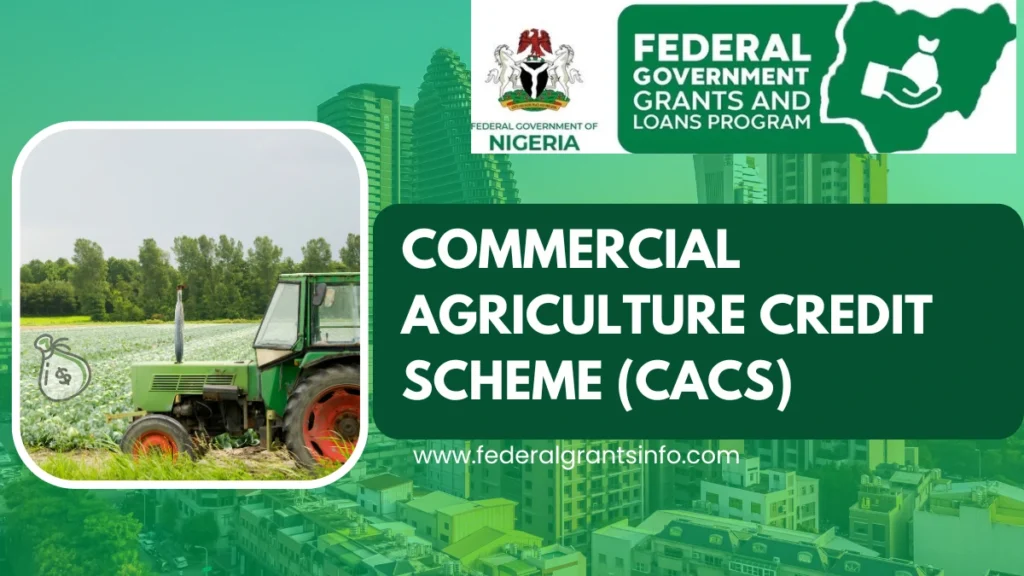 Commercial Agriculture Credit Scheme (CACS) – How to Apply & Eligibility