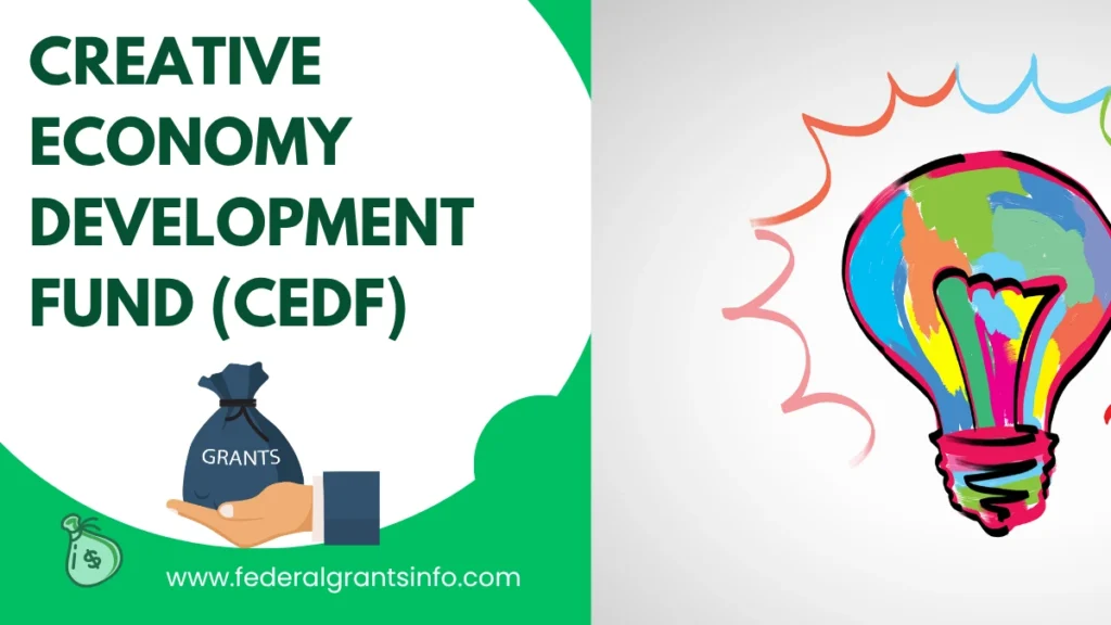 How to Apply for Creative Economy Development Fund (CEDF) Nigeria