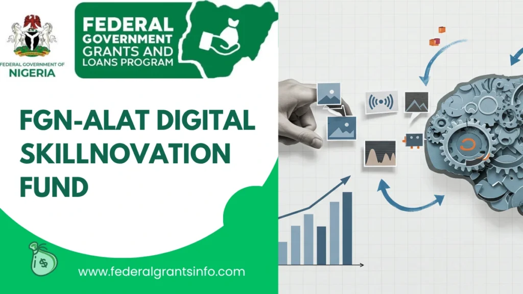 FGN-ALAT Digital Skillnovation Fund – Apply Now