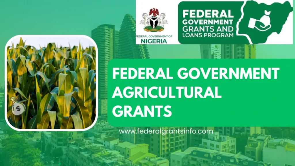 How to Apply for Agricultural Grants: Access Verified Farm Funding Opportunities