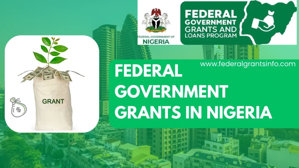 FG Awards 14 Women Engineers ₦200 Million in Grants to Support Innovation