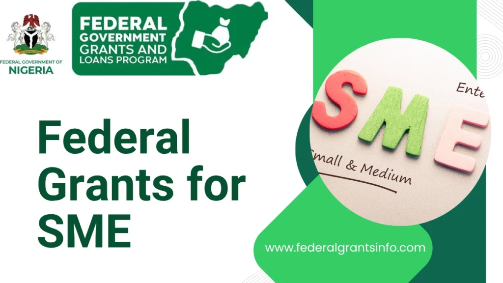 Federal Grants for SME – How to Apply & Eligibility