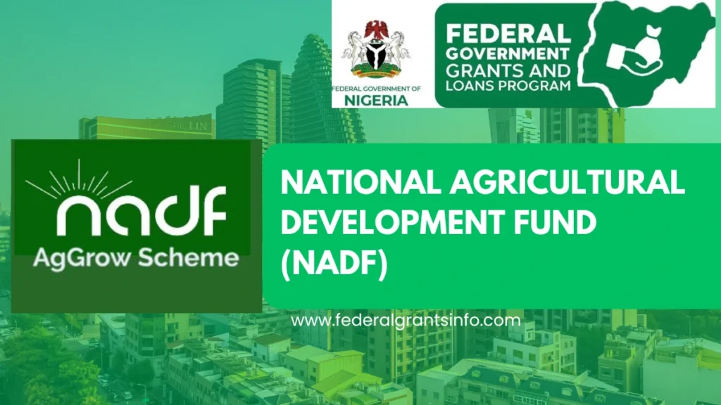 Nigeria Youth Investment Fund (NYIF – Agric Segment) – How to Apply and Eligibility