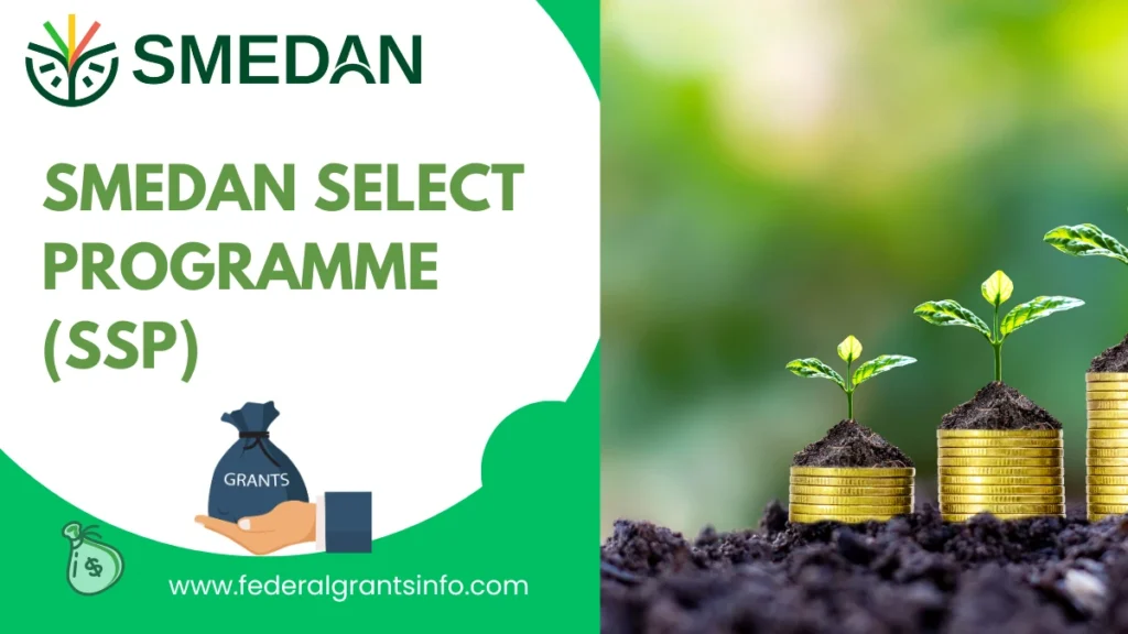 How to Apply for SMEDAN Select Programme (SSP)