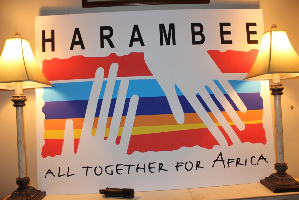 How to Apply for Harambee International Award 2026