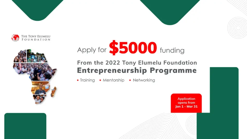 How to Apply for the Tony Elumelu Foundation Grant 2025